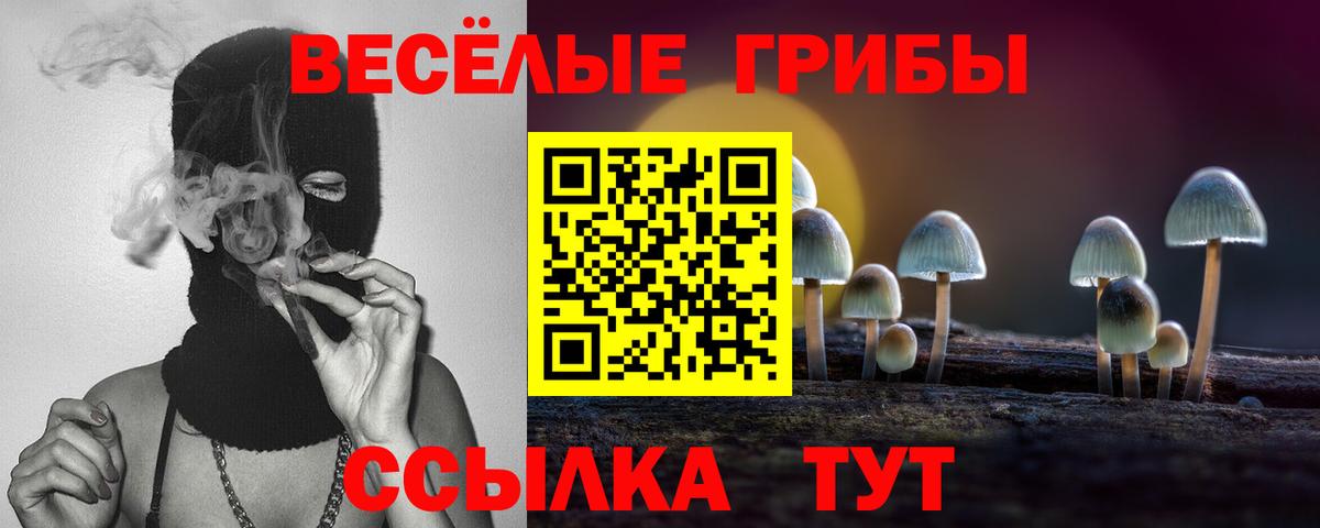 Галлюциногенные грибы Cubensis  Вход с VPN  Шелехов 