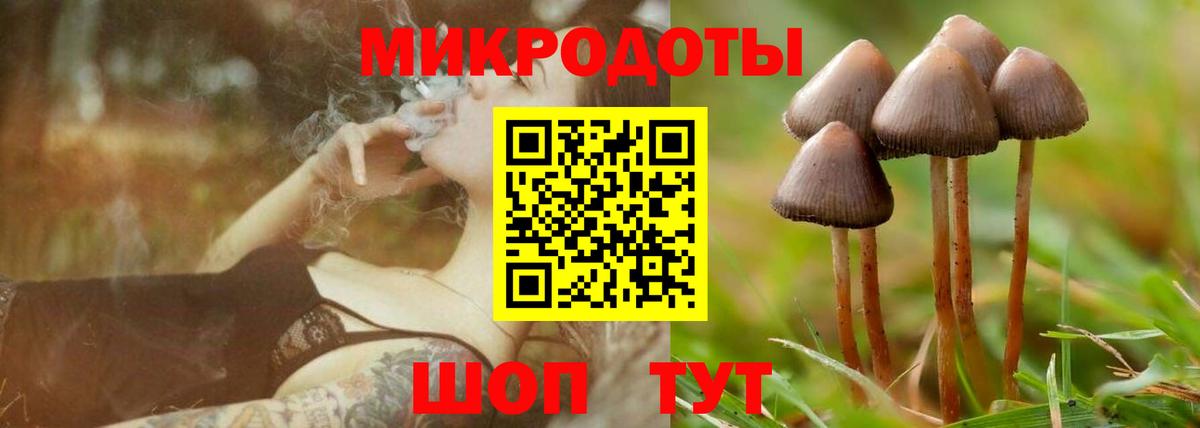 Псилоцибиновые грибы GOLDEN TEACHER Шелехов